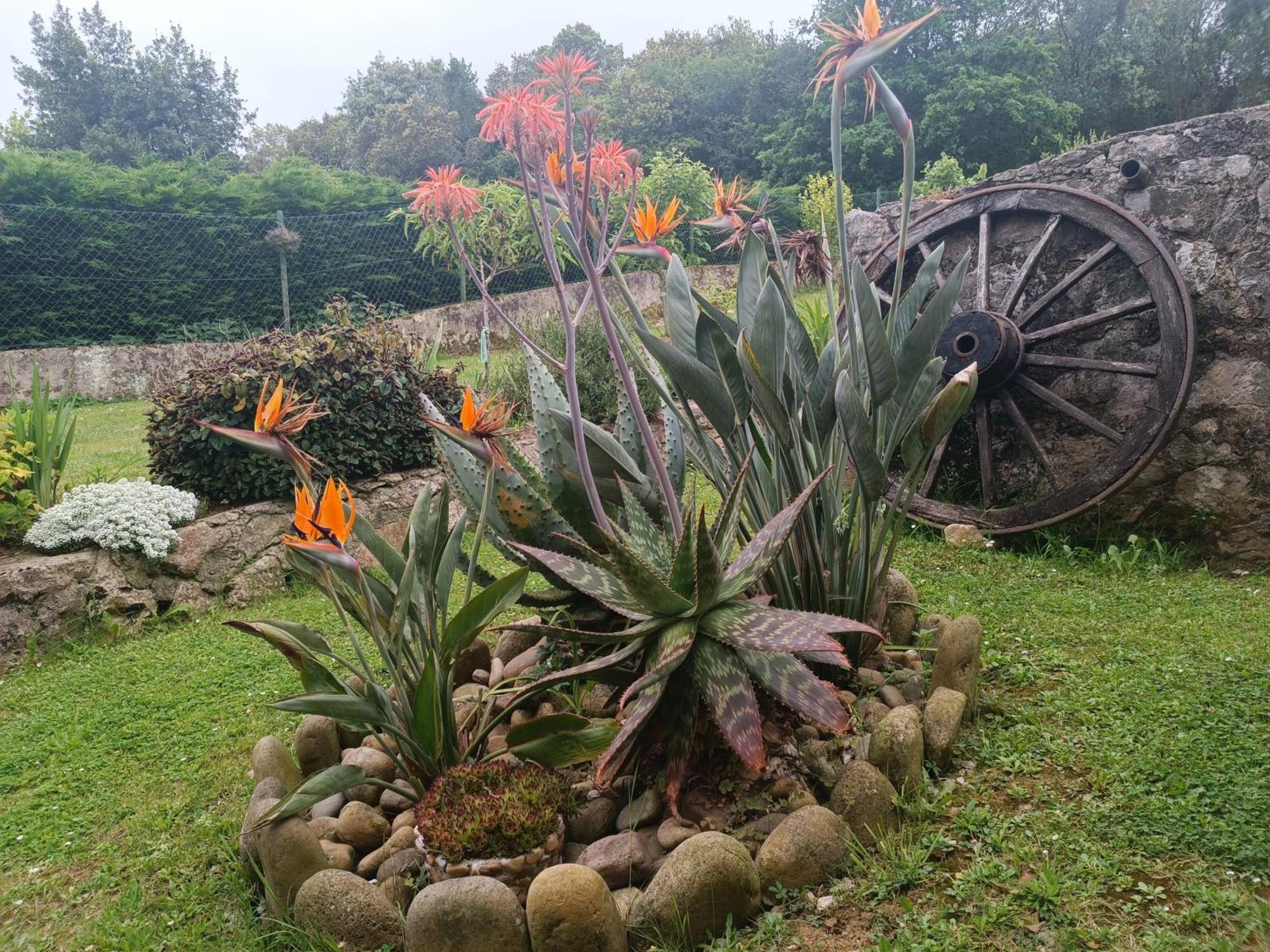 Casa Coba Villa Camijanes Kültér fotó